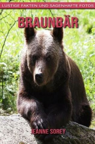 Cover of Braunbär