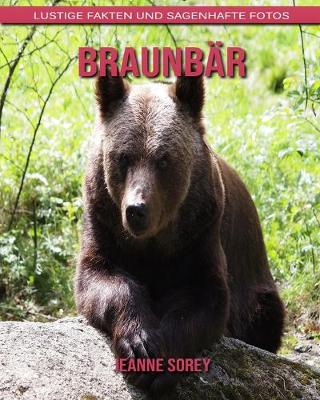 Book cover for Braunbär