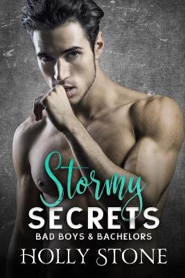 Book cover for Stormy Secrets