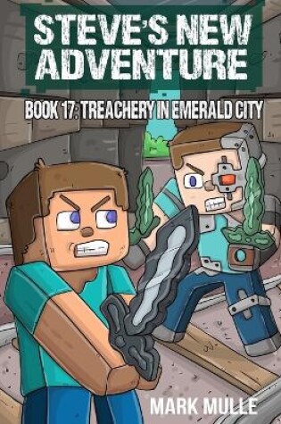 Cover of Steve's New Adventure Book 17