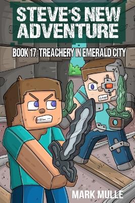 Book cover for Steve's New Adventure Book 17