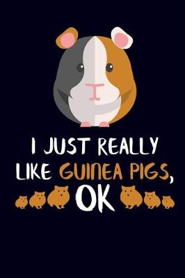 Book cover for I Just Really Like Guinea Pigs, Ok