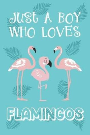 Cover of Just A Boy Who Loves Flamingos