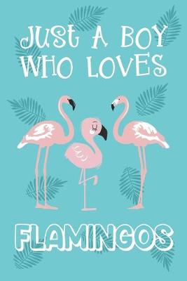Book cover for Just A Boy Who Loves Flamingos
