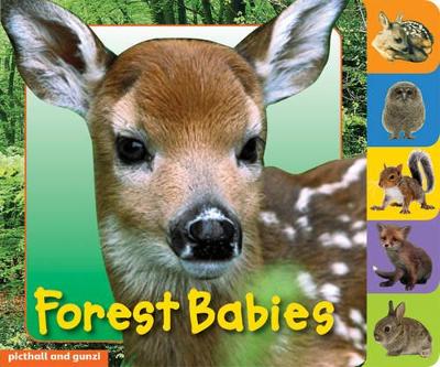 Book cover for Animal Tabs: Forest Babies