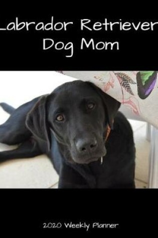 Cover of Labrador Retriever Dog Mom 2020 Weekly Planner