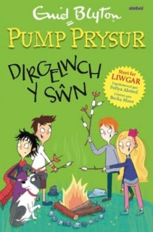 Cover of Pump Prysur: Dirgelwch y Sŵn