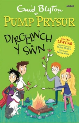 Book cover for Pump Prysur: Dirgelwch y Sŵn