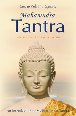 Book cover for Mahamudra Tantra