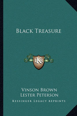 Book cover for Black Treasure