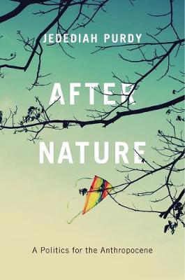 Book cover for After Nature