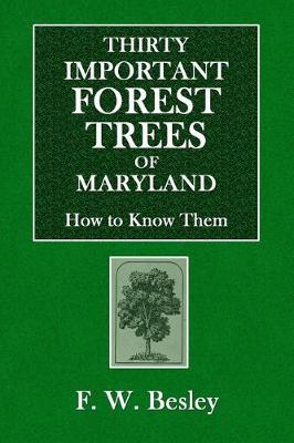 Book cover for Thirty Important Forest Trees of Maryland