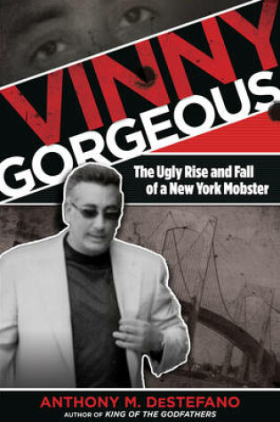 Cover of Vinny Gorgeous