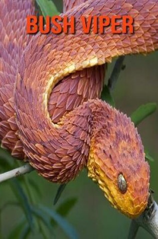 Cover of Bush Viper