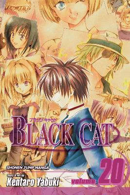 Book cover for Black Cat, Vol. 20