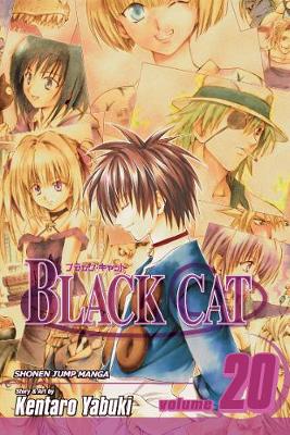 Book cover for Black Cat, Vol. 20