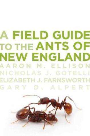 Cover of A Field Guide to the Ants of New England