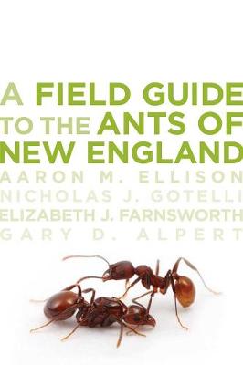 Book cover for A Field Guide to the Ants of New England