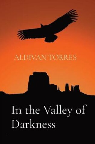 Cover of In the Valley of Darkness