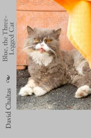 Cover of Blue, the Three Legged Cat