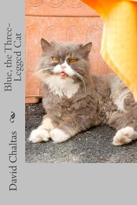 Book cover for Blue, the Three Legged Cat