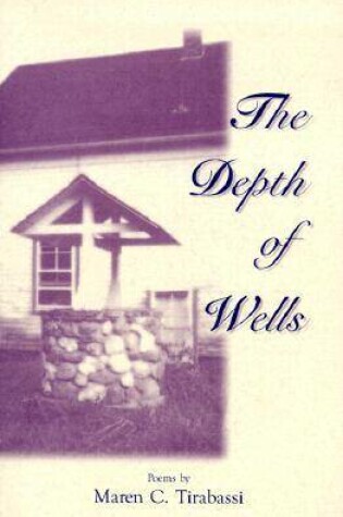 Cover of The Depth of Wells