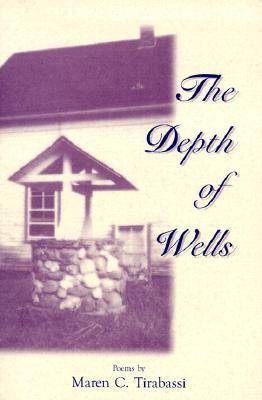 Book cover for The Depth of Wells