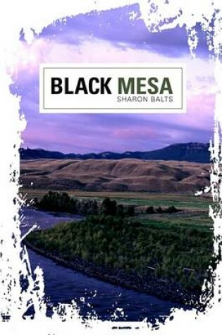 Cover of Black Mesa