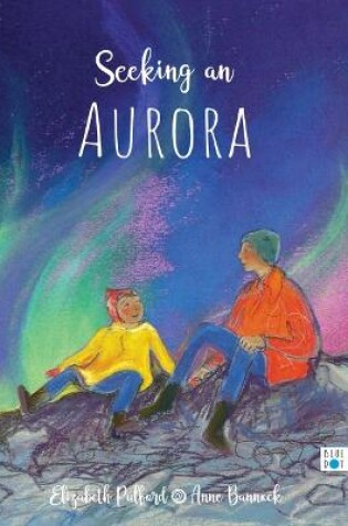 Cover of Seeking an Aurora
