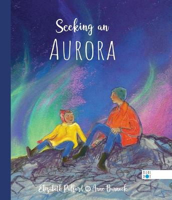 Cover of Seeking an Aurora