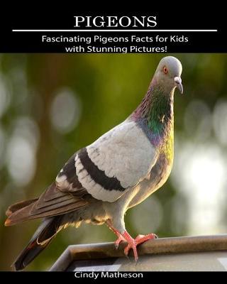 Book cover for Pigeons