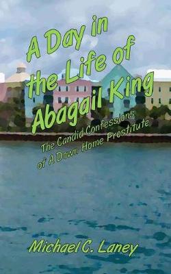 Book cover for A Day in the Life of Abagail King