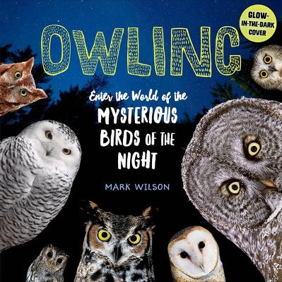 Book cover for Owling