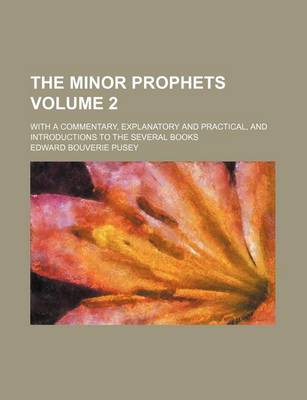 Book cover for The Minor Prophets Volume 2; With a Commentary, Explanatory and Practical, and Introductions to the Several Books