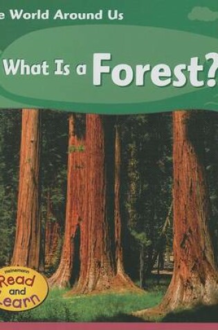 Cover of What Is a Forest?