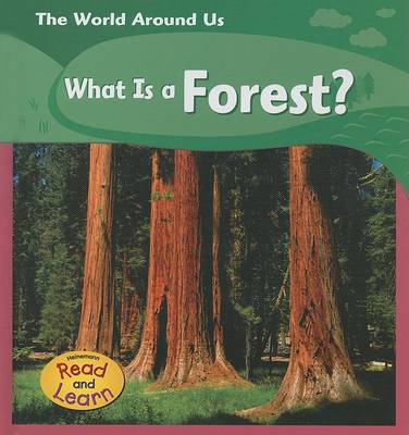 Book cover for What Is a Forest?