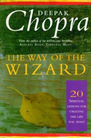 Cover of The Way Of The Wizard