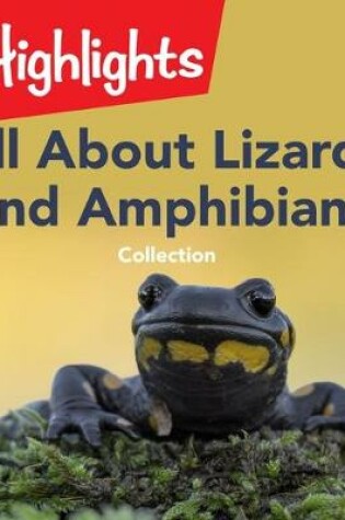 Cover of All about Lizards and Amphibians Collection