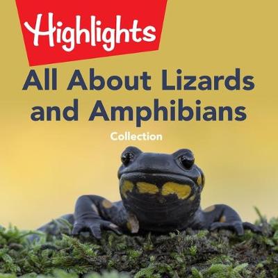 Book cover for All about Lizards and Amphibians Collection