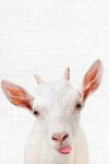 Book cover for Cute Animal Composition Book Smiley Goat