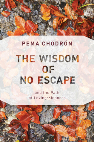 Cover of The Wisdom of No Escape