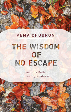 Book cover for The Wisdom of No Escape
