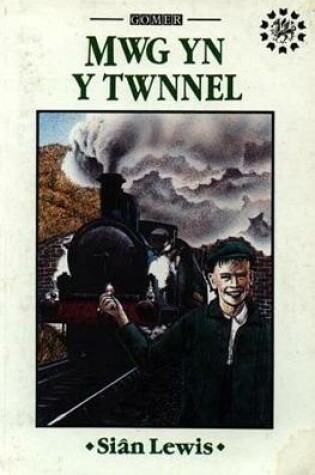 Cover of Nofelau Project Hanes Cymru: Mwg yn y Twnnel