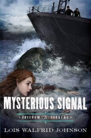 Cover of Mysterious Signal