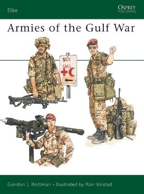 Cover of Armies of the Gulf War