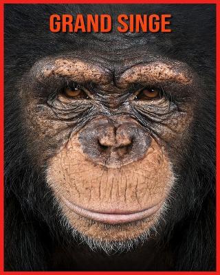 Book cover for Grand Singe