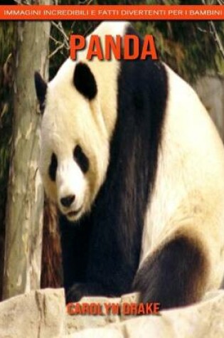 Cover of Panda