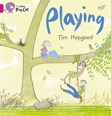 Book cover for Playing
