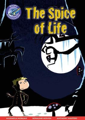 Book cover for Navigator New Guided Reading Fiction Year 5, The Spice of Life