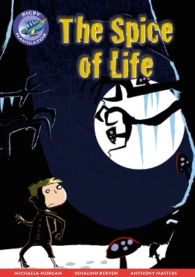 Book cover for Navigator New Guided Reading Fiction Year 5, The Spice of Life